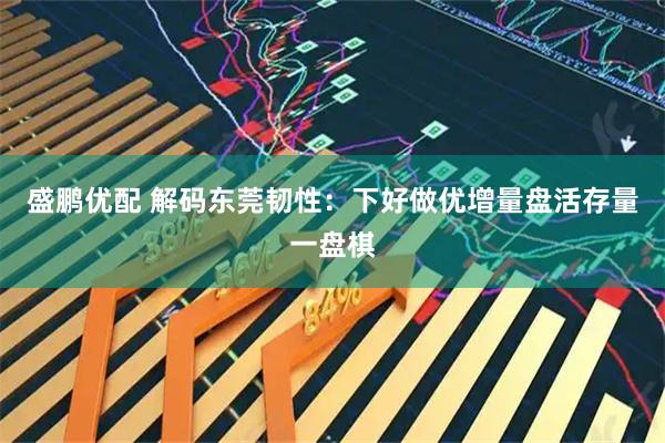 盛鹏优配 解码东莞韧性：下好做优增量盘活存量一盘棋